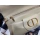 Dior包包 迪奧2021新款手提包 DS0803-2簡約手袋單肩斜挎包