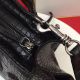 Celine包包 賽琳2021新款手提包 DSs06119荔枝紋蝙蝠包單肩斜挎包
