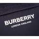 burberry包包 巴寶莉2021新款後背包 DS071506-30字母提花雙肩包