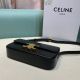 Celine包包 賽琳2021新款手提包 DS0211-20凱旋門腋下包單肩斜挎包