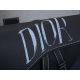 Dior包包 迪奧2021新款手提包 DS1ADPO093男士馬鞍斜挎包胸包
