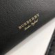 burberry包包 巴寶莉2021新款的手提包 DS7121班納手袋單肩斜挎包